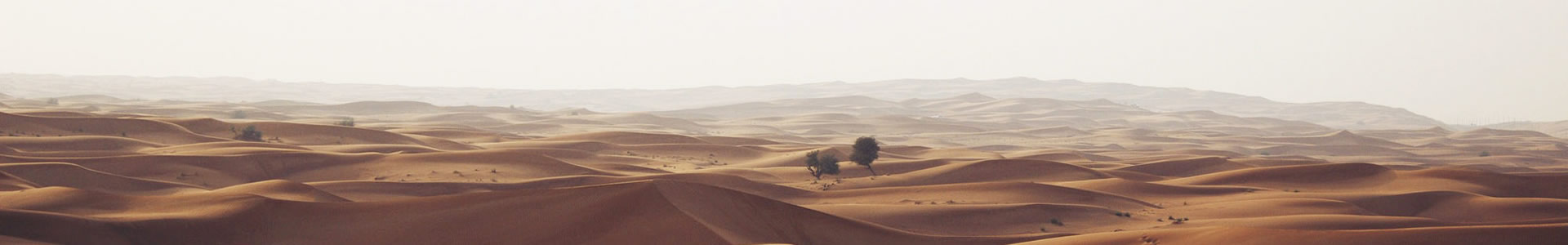 人ŷŵ޹˾
